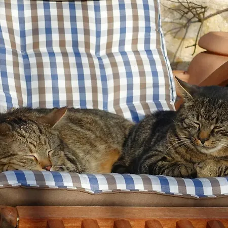 Almchalet Goldbergleiten 別荘 Großkirchheim