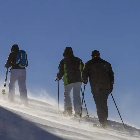 Almchalet Goldbergleiten