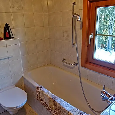 Almchalet Goldbergleiten בית נופש