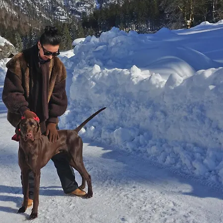 Almchalet Goldbergleiten