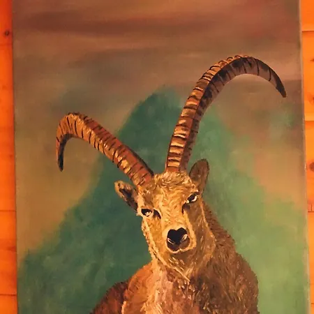 Almchalet Goldbergleiten 別荘