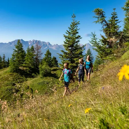 別荘 Almchalet Goldbergleiten