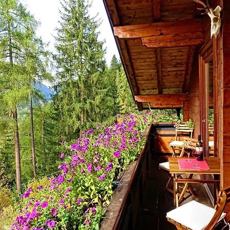 בית נופש Almchalet Goldbergleiten *