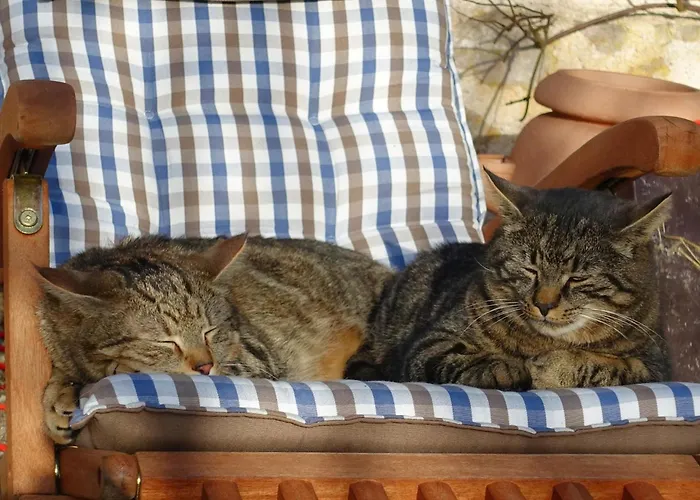 Almchalet Goldbergleiten Dom wakacyjny Großkirchheim
