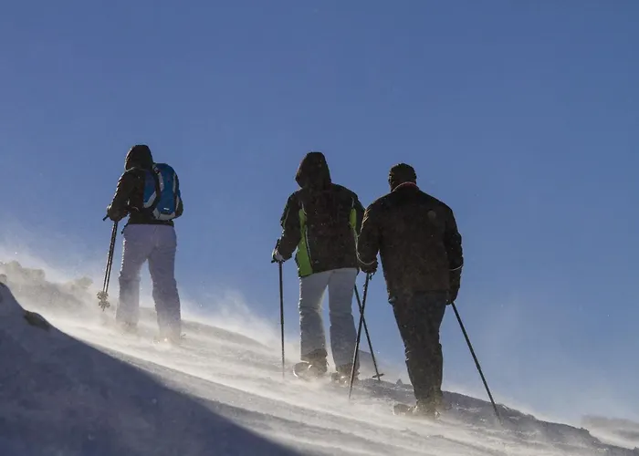 Almchalet Goldbergleiten