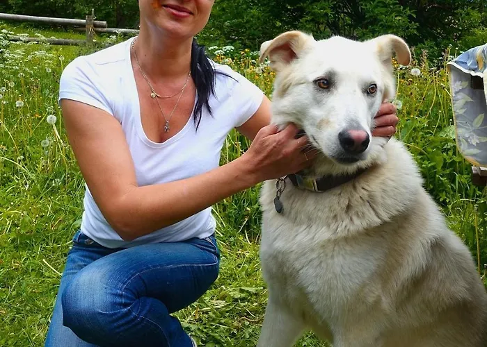 Dom wakacyjny Almchalet Goldbergleiten