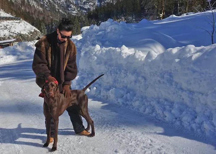 Almchalet Goldbergleiten