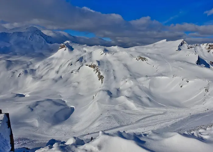 Almchalet Goldbergleiten *