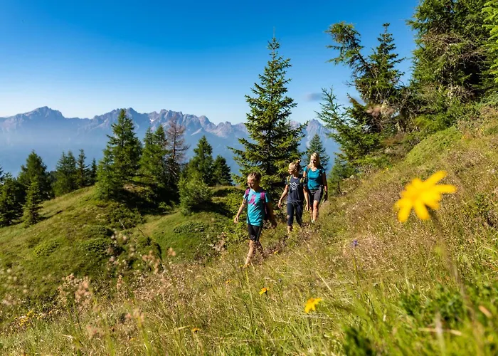 Dom wakacyjny Almchalet Goldbergleiten